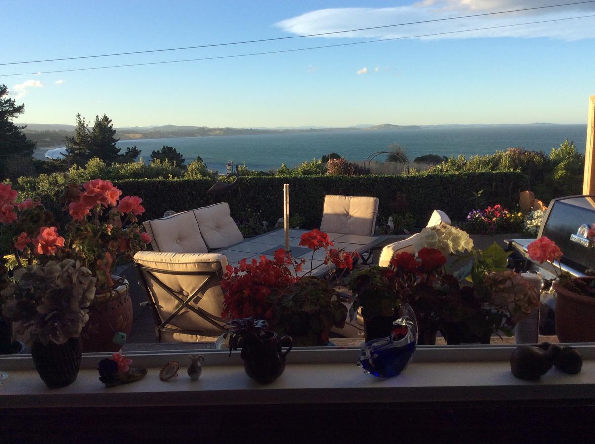 Noah'S Boutique Accommodation Moeraki Εξωτερικό φωτογραφία