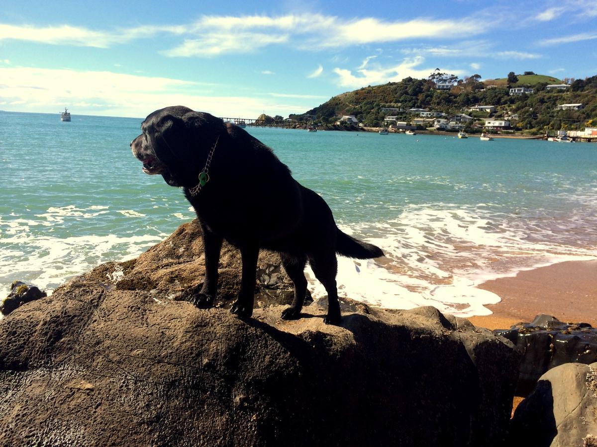 Noah'S Boutique Accommodation Moeraki Εξωτερικό φωτογραφία