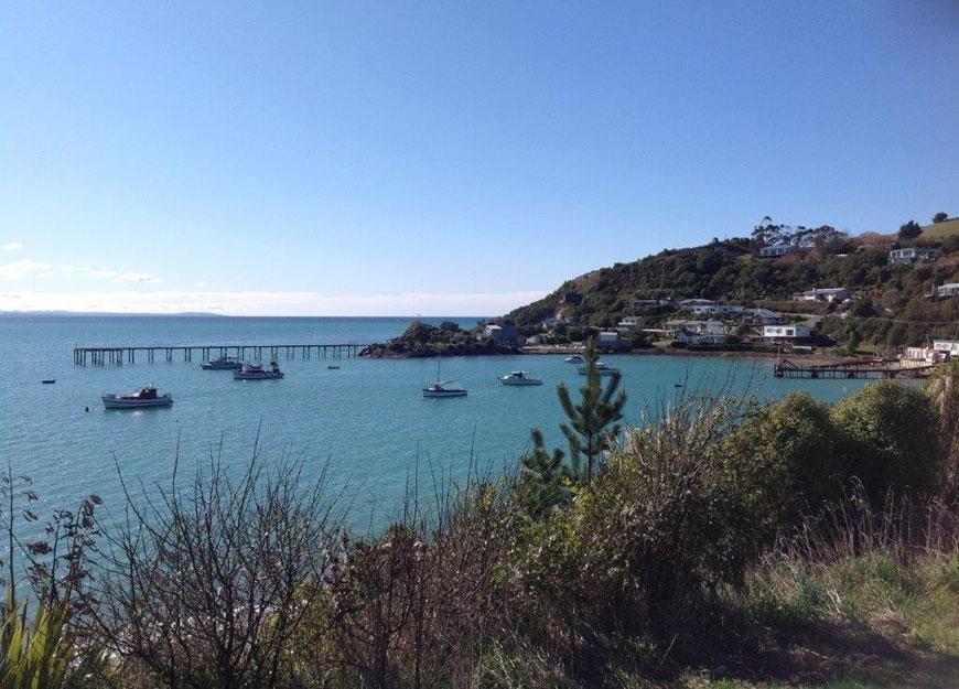 Noah'S Boutique Accommodation Moeraki Εξωτερικό φωτογραφία