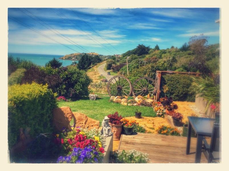 Noah'S Boutique Accommodation Moeraki Εξωτερικό φωτογραφία